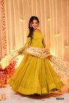 Clora Vol 16 Soft Dyed Silk Fully Flared Gown With Dupatta Wholesalers In Surat
